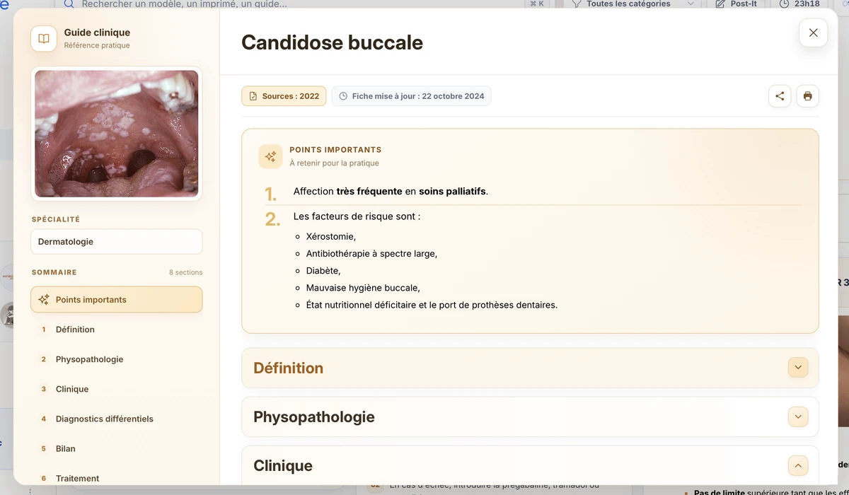Vue complète du guide ouvert dans Clic4Care avec le sommaire à gauche et le contenu à droite.